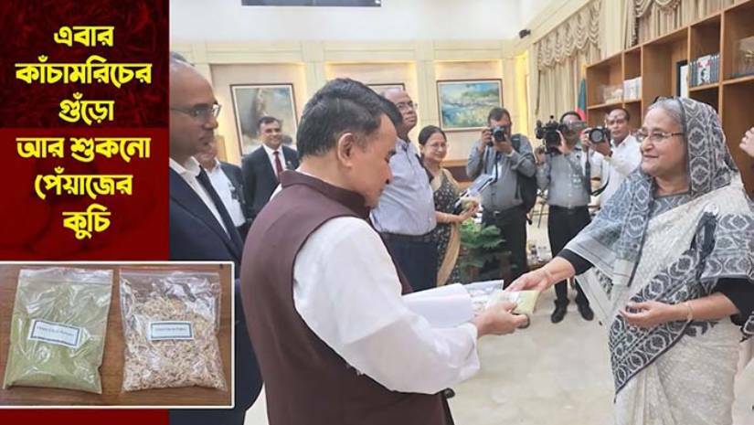 এবার কাঁচা মরিচের গুঁড়ো ও শুকনো পেঁয়াজের কুচি ব্যবহারের পরামর্শ প্রধানমন্ত্রীর