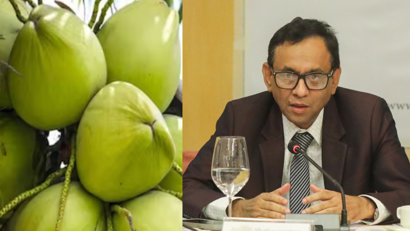 দেশে নতুন আবিষ্কার ‘ডেঙ্গু ডাব’: ভোক্তার ডিজি 