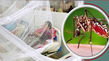 ডেঙ্গুতে আরও ৯ জনের মৃত্যু, ৮ জনই ঢাকার বাইরে