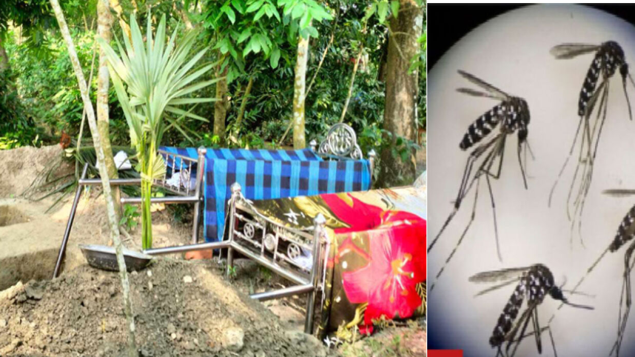 ডেঙ্গুতে মায়ের মৃত্যুর ১২ ঘণ্টা পর মারা গেলেন মেয়েও