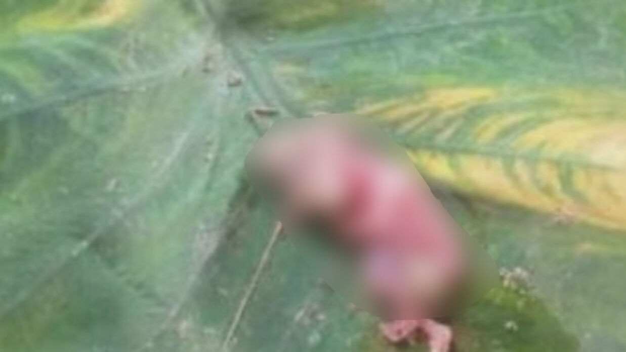 মাছ ধরার জালে ভেসে উঠল মানব ভ্রুণ