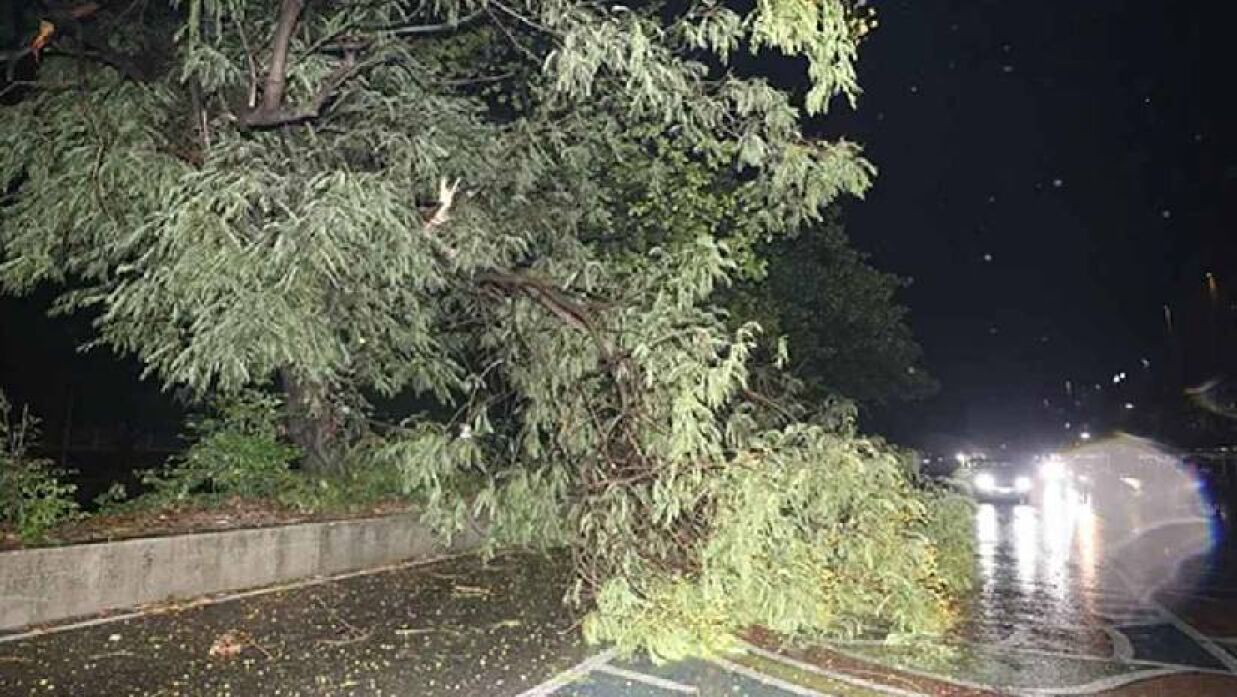 রাজধানীতে ঝড়ে দেয়াল ভেঙে ঘুমন্ত নারীর মৃত্যু, আহত ৭