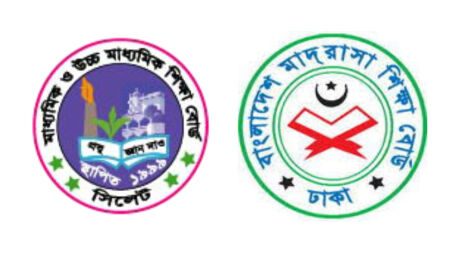 স্থগিত এইচএসসি ও সমমানের পরীক্ষায় প্রশ্ন পদ্ধতি নিয়ে যা জানাল বোর্ড