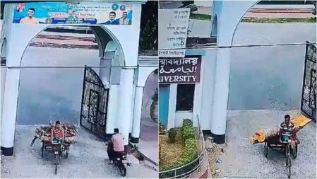 ইবিতে গাছের গুঁড়ি ও খড়ি পাচারের ঘটনায় তদন্ত কমিটি