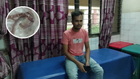 বিছানায় রাসেলস ভাইপারের কামড়, সাপ নিয়ে হাসপাতালে শিক্ষার্থী