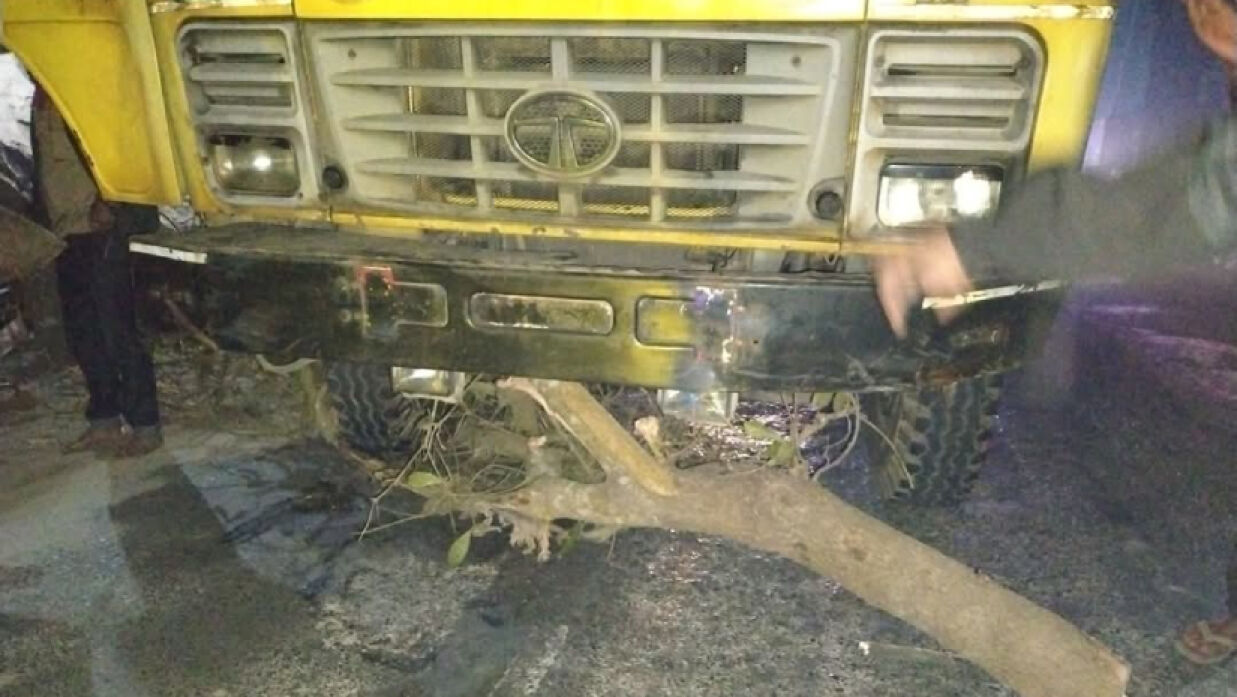 পাবনায় সড়কে গাছ ফেলে ২০ গাড়িতে ডাকাতি