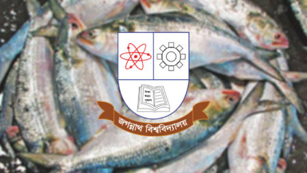 ইলিশের লিঙ্গ পরিবর্তনের রহস্য উন্মোচন করল জবির গবেষকরা