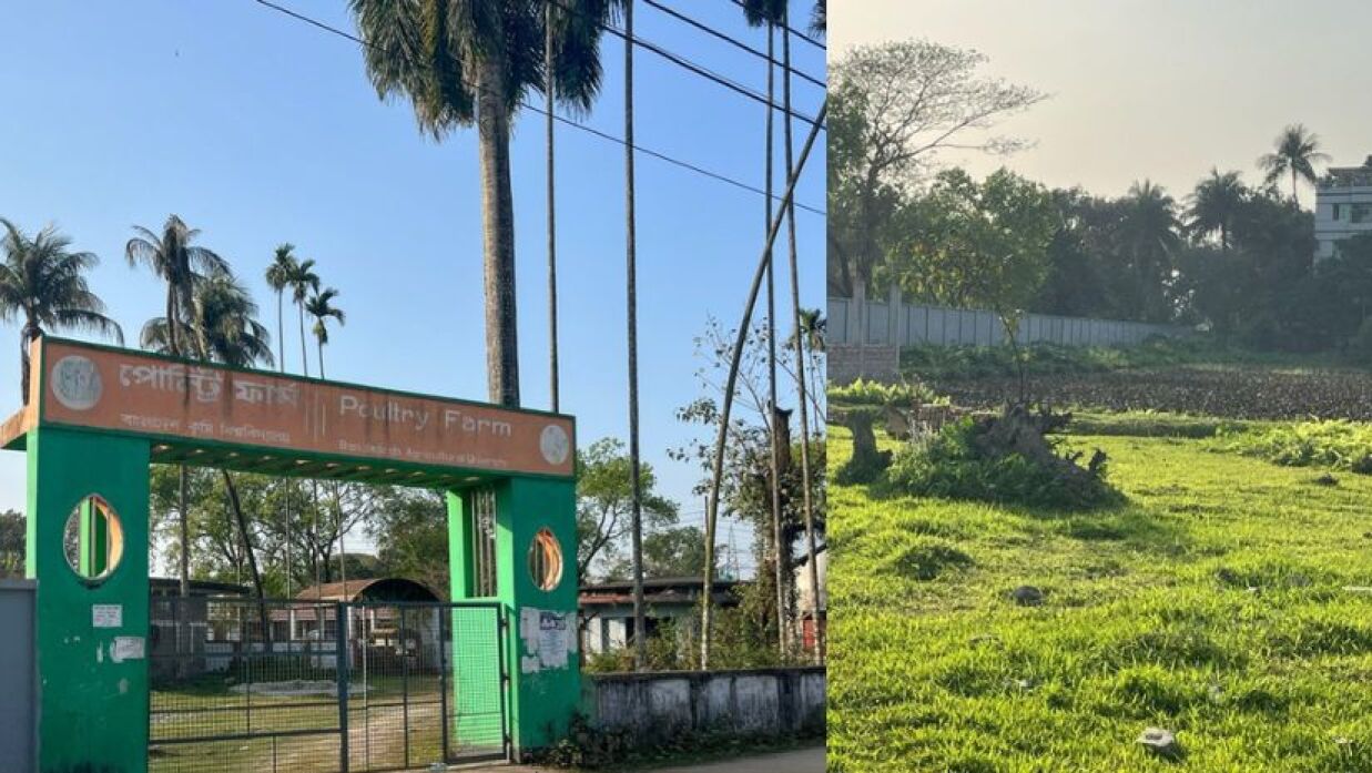 বাকৃবিতে প্রসেসিং প্ল্যান্ট অসম্পূর্ণ রেখেই গবেষণা প্রতিবেদন জমার অভিযোগ