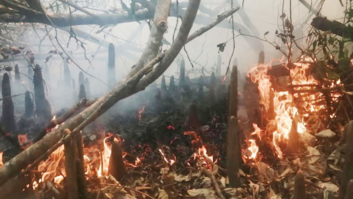 সুন্দরবনে আগুন, আশপাশে পানির উৎস না থাকায় নেভাতে বেগ