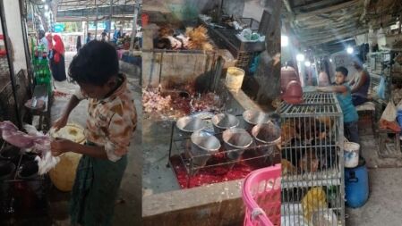 বাজারে অস্বাস্থ্যকর পরিবেশে মুরগি জবাই, স্বাস্থ্যঝুঁকি বাড়ছে