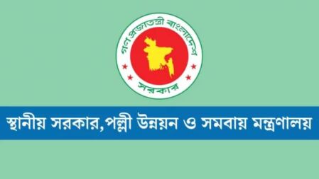 স্থানীয় সরকার, পল্লী উন্নয়ন ও সমবায় মন্ত্রণালয়ে চাকরি, পদ ৩৩৫