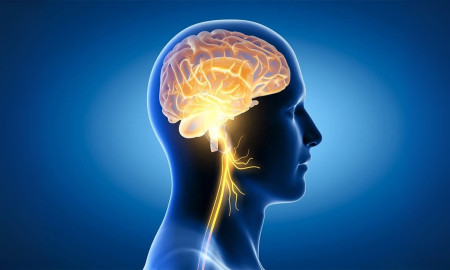 Brain Health: Separating Fact from Fiction