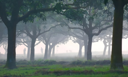 Season's Lowest 12.8°C Recorded in Tetulia; Winter Chill Intensifies