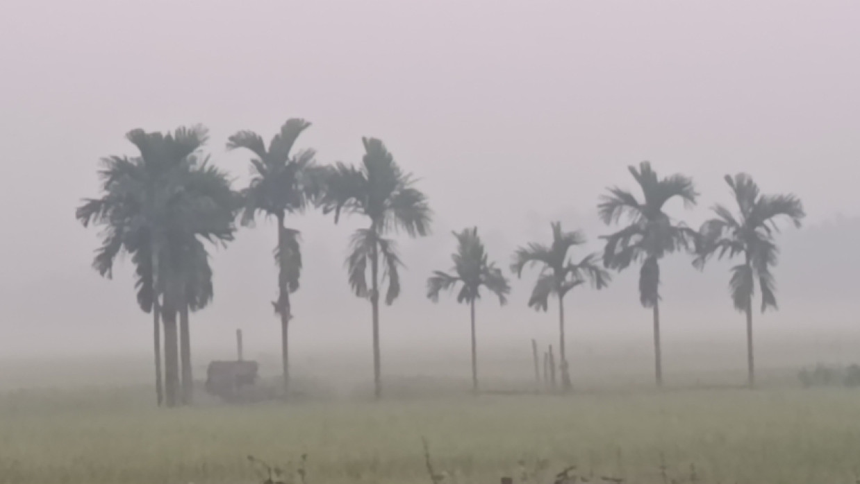 Football Match Photo
