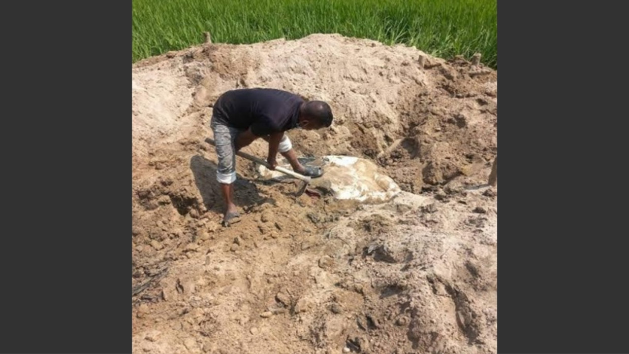 Buried Grisly Elephant