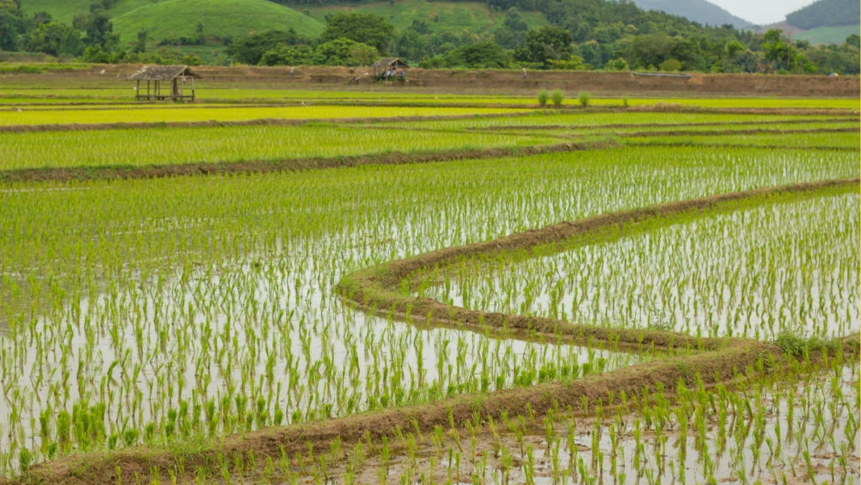 Representational Photo