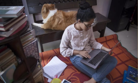 Govt Considers Bringing Back Online Classes