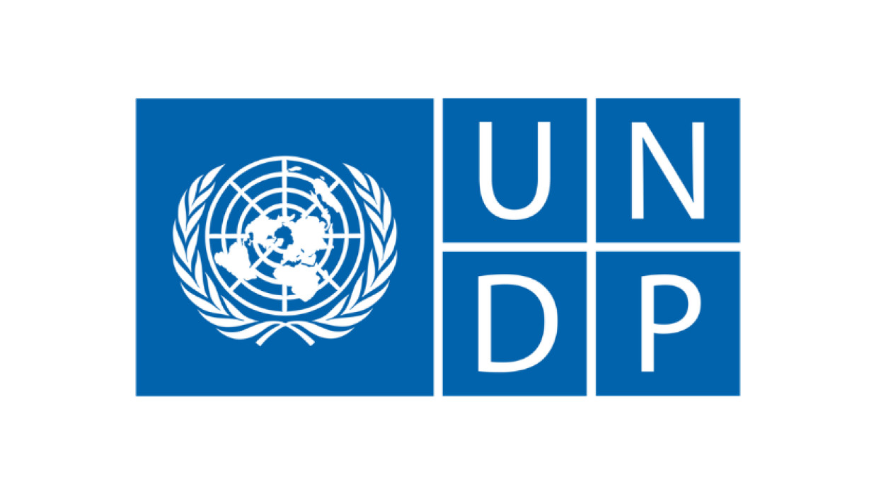 UNDP logo