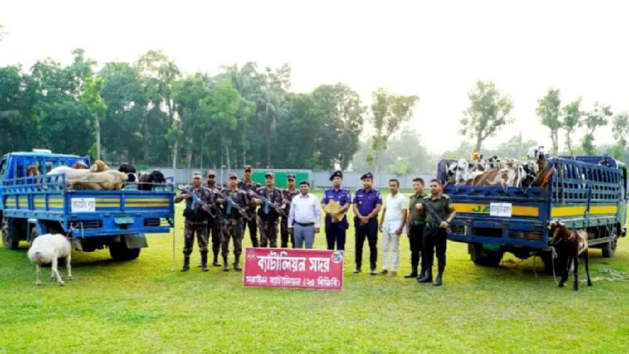 আটককৃত মো. ইয়াকুব আলী ও জব্দকৃত ভারতীয় পশু