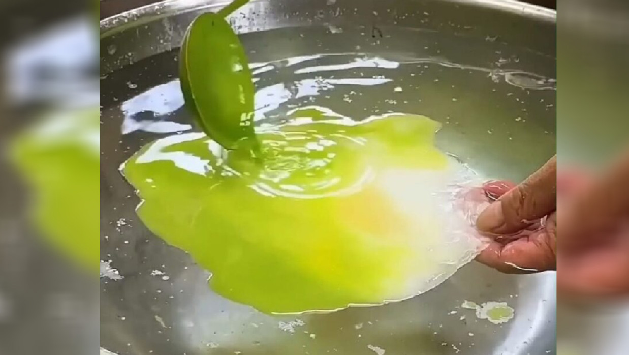ডিসপ্লে ফুডকে খাওয়ার বাঁধাকপি দাবি করে ছড়ানো হচ্ছে ভুয়া তথ্য