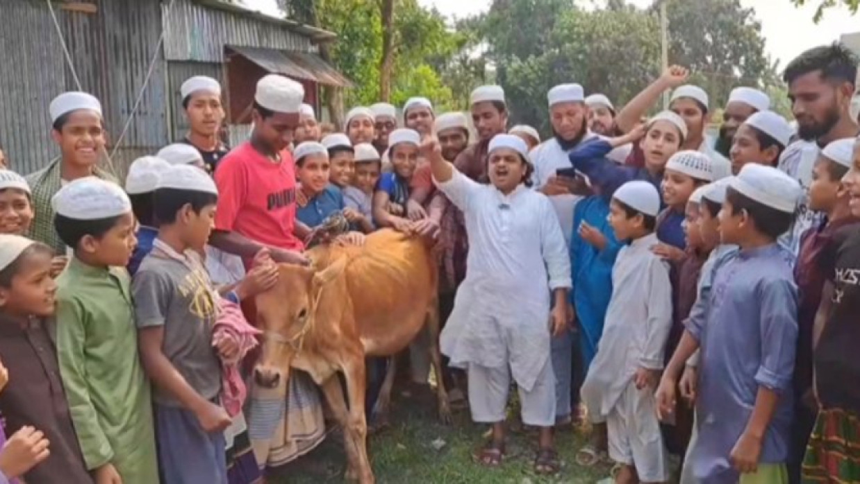 গরু জবাইয়ের প্রস্তুতি