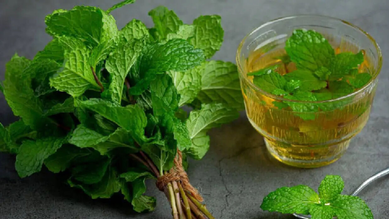 তুলসী পাতা