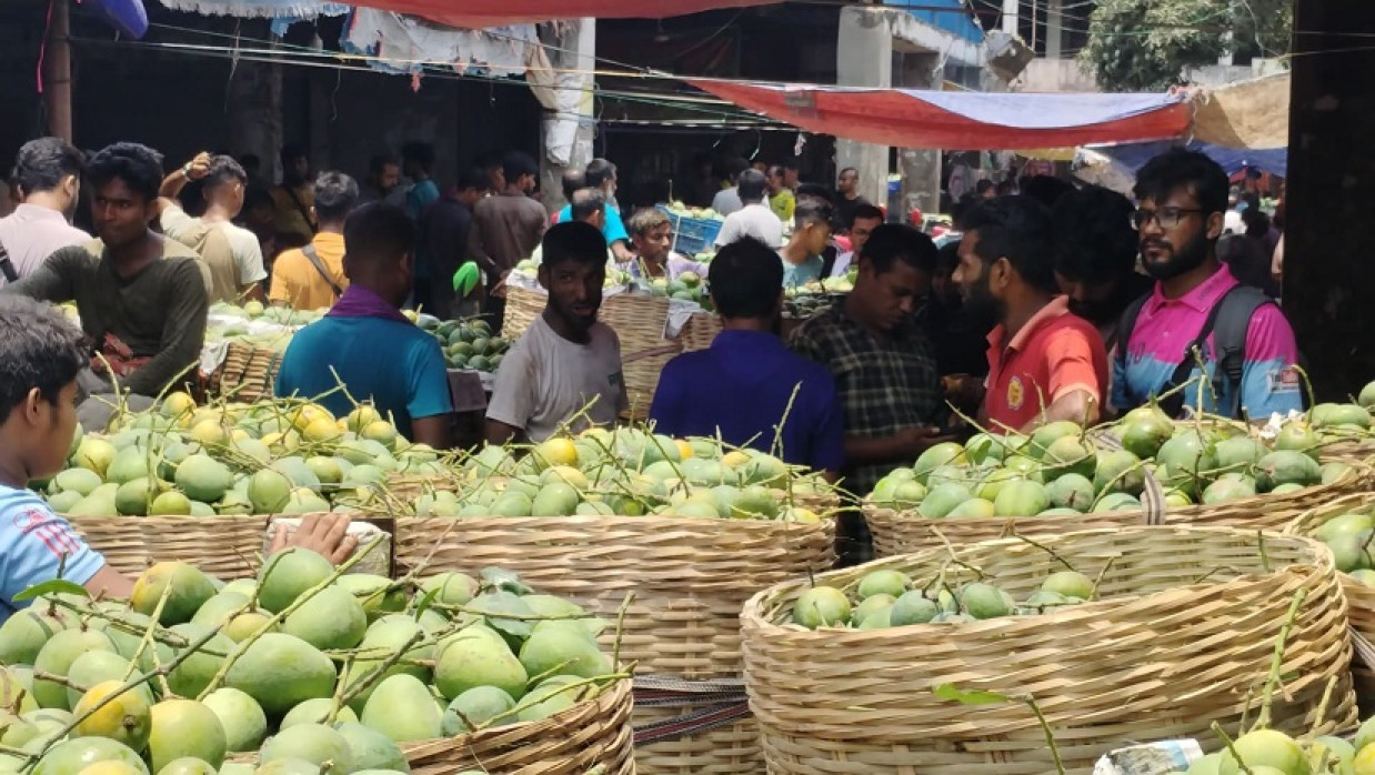 সাতক্ষীরার বাজারে উঠতে শুরু করেছে সুস্বাদু আম
