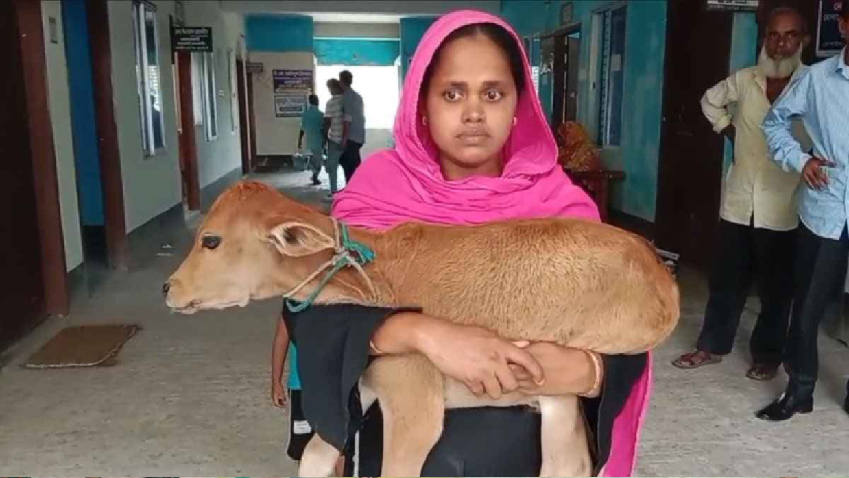 বাছুর কোলে আদালতে হাজির নারী