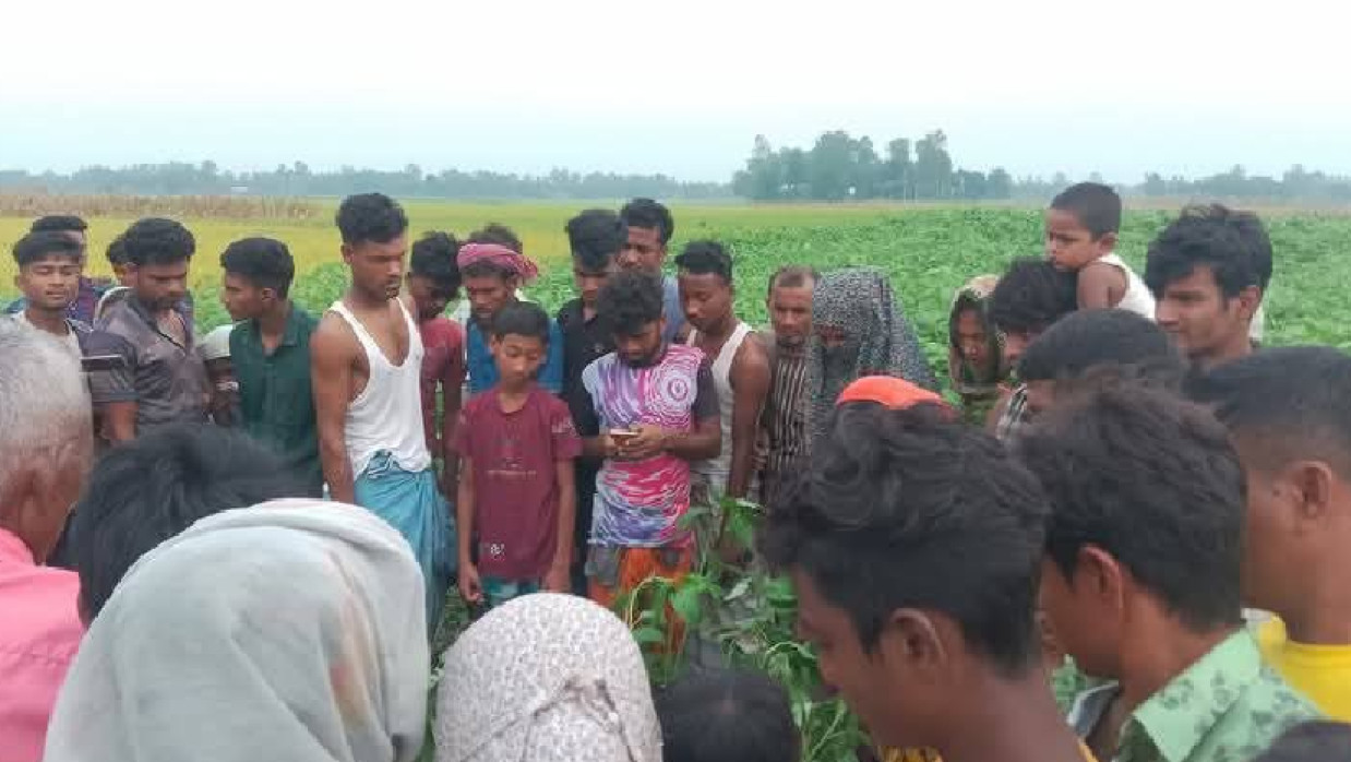 পাটক্ষেতে অজ্ঞাত নারীর মরদেহ