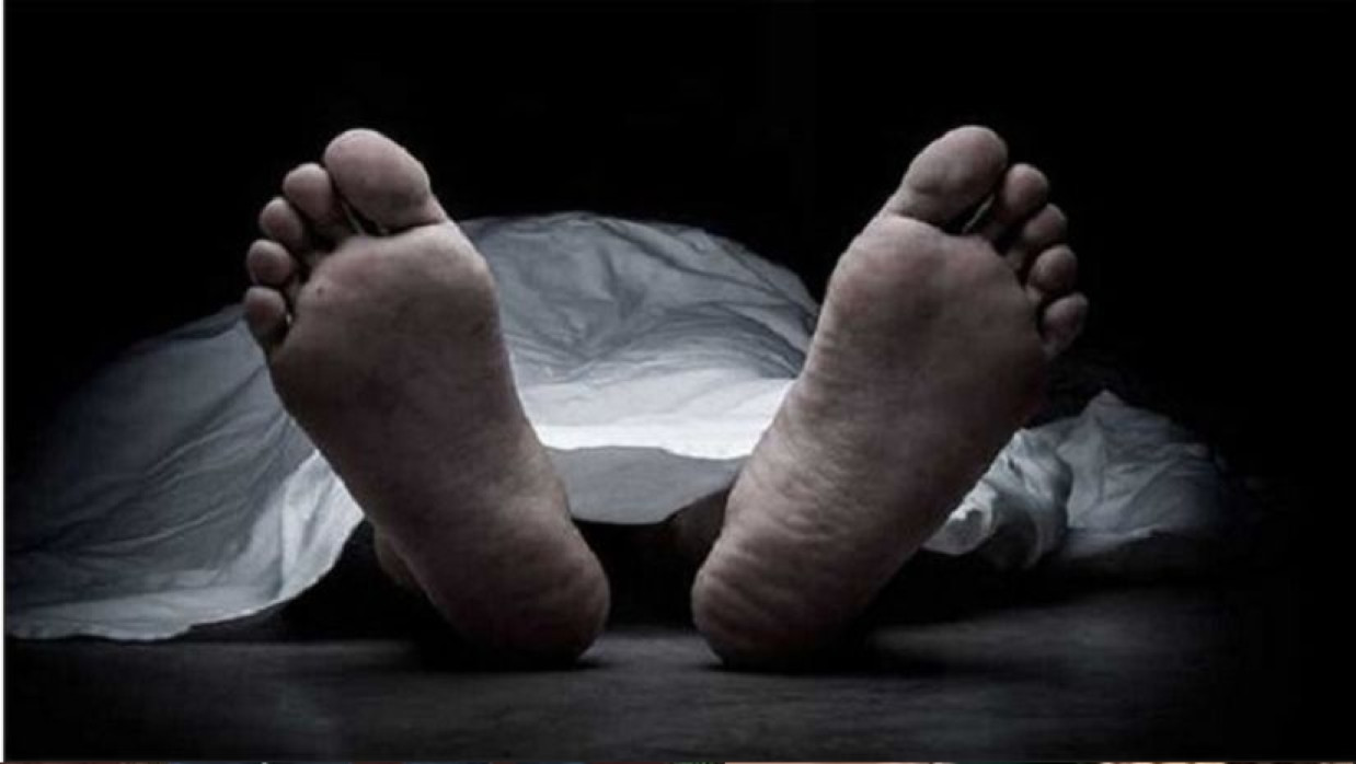 ফাইল ফটো