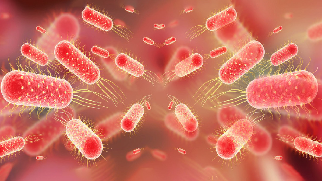 টাইফয়েড জ্বর