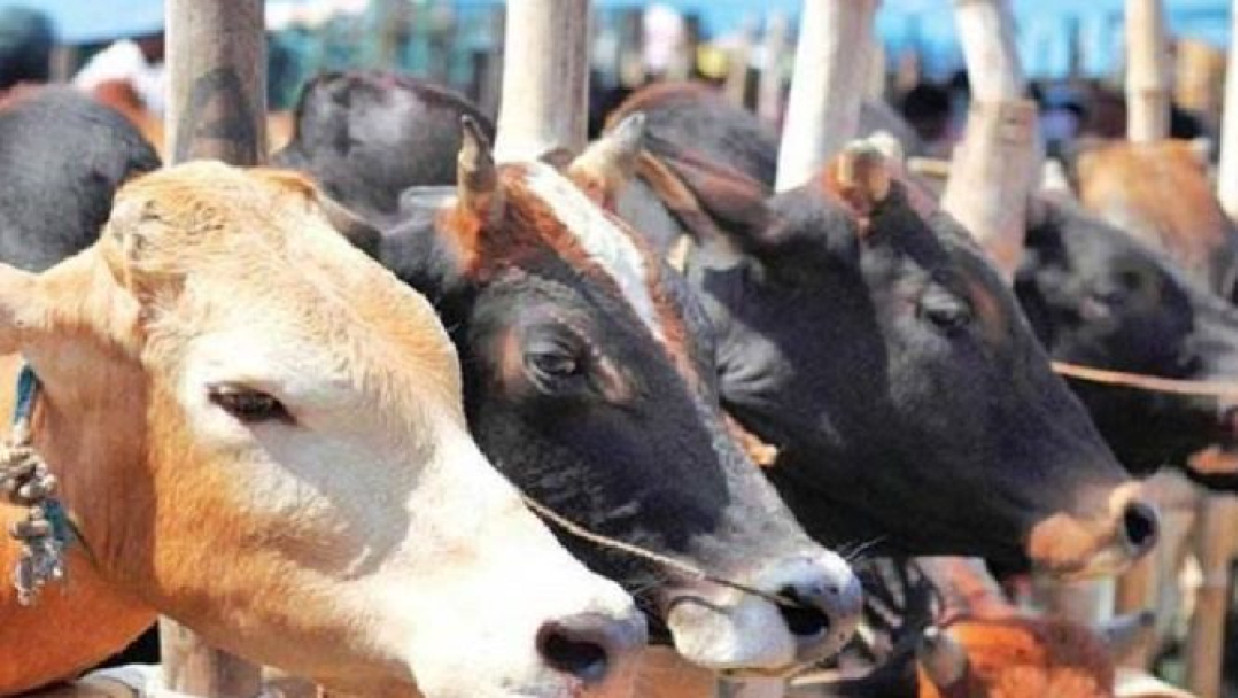 প্রতীকী ছবি