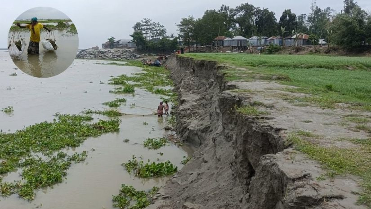 ব্রহ্মপুত্র, ধরলা ও তিস্তা নদীতে বাড়ছে ও ইনসেটে তলিয়ে যাওয়া ফসল নিয়ে বাড়ি ফিরছেন কৃষক