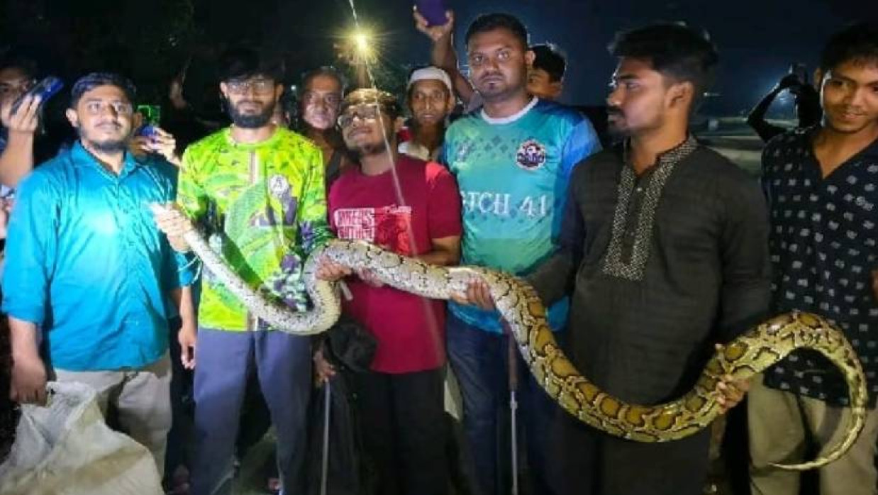 চবি ক্যাম্পাস থেকে উদ্ধার করা বার্মিজ পাইথন (অজগর)