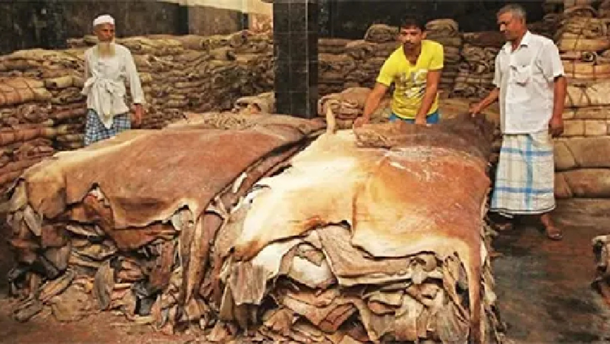 পশুর চামড়া