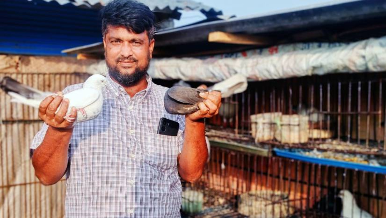 জাকির মোল্লার