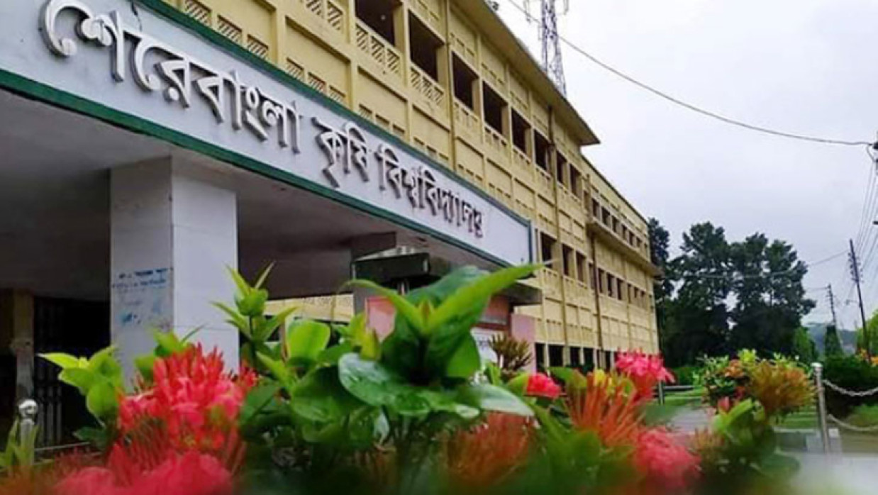 শেকৃবি