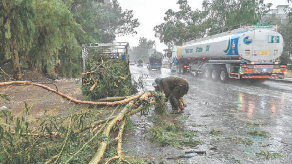 টানা বৃষ্টির মধ্যে শ্রমিকরা সড়ক থেকে উপড়ে পড়া গাছ সরিয়ে নিচ্ছেন