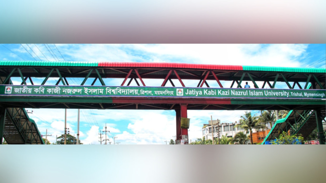 নজরুল ইসলাম বিশ্ববিদ্যালয়