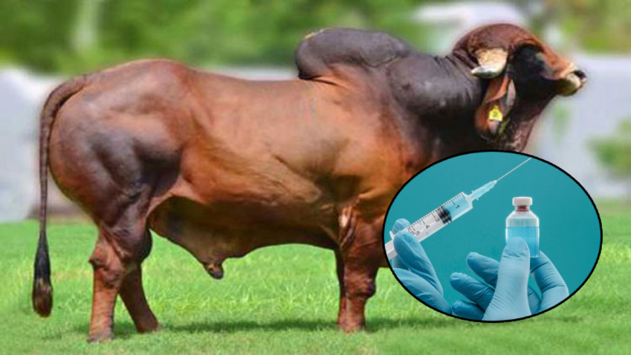 প্রতীকী ছবি