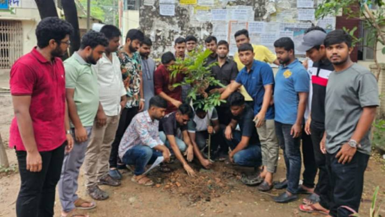 ক্যাম্পাসে বৃক্ষ রোপণ করছেন ছাত্রদলের নেতাকর্মীরা