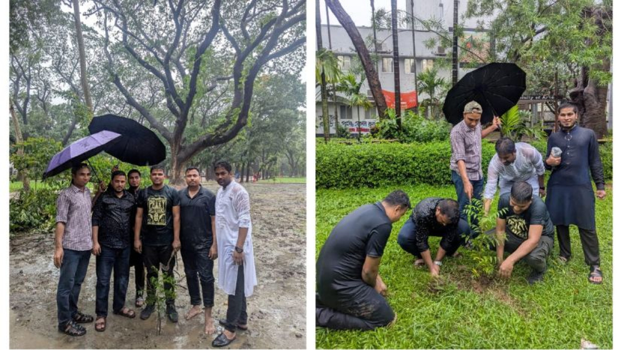 ঢাবিতে বৃক্ষরোপণ কর্মসূচি