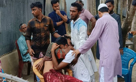 গাছ থেকে পড়ে প্রাণ গেল দিনমজুরের