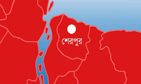 শেরপুরে পৃথক ঘটনায় শিশুসহ ৪ জনের মৃত্যু