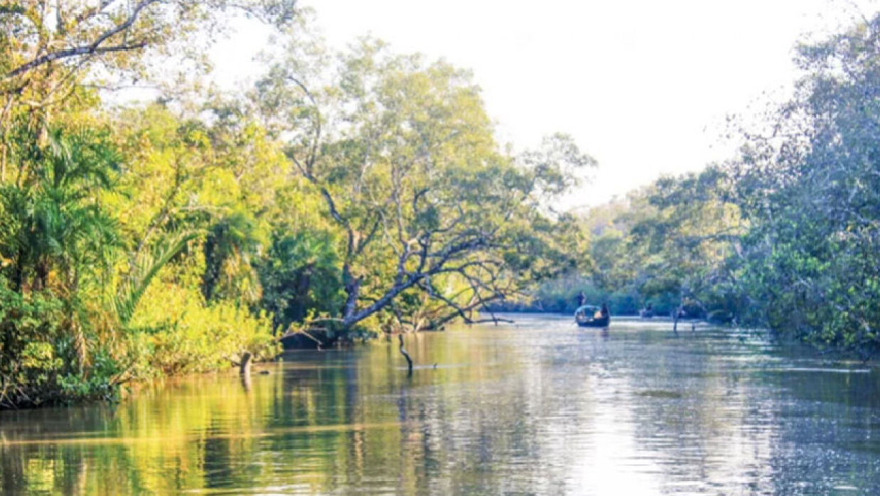 সুন্দরবন