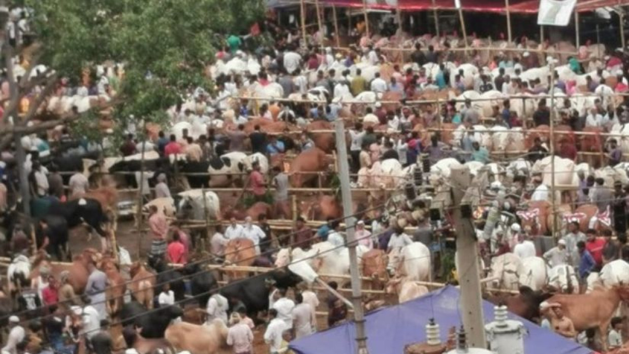 মাধবদীর ঐতিহাসিক গরুর হাট শুরু