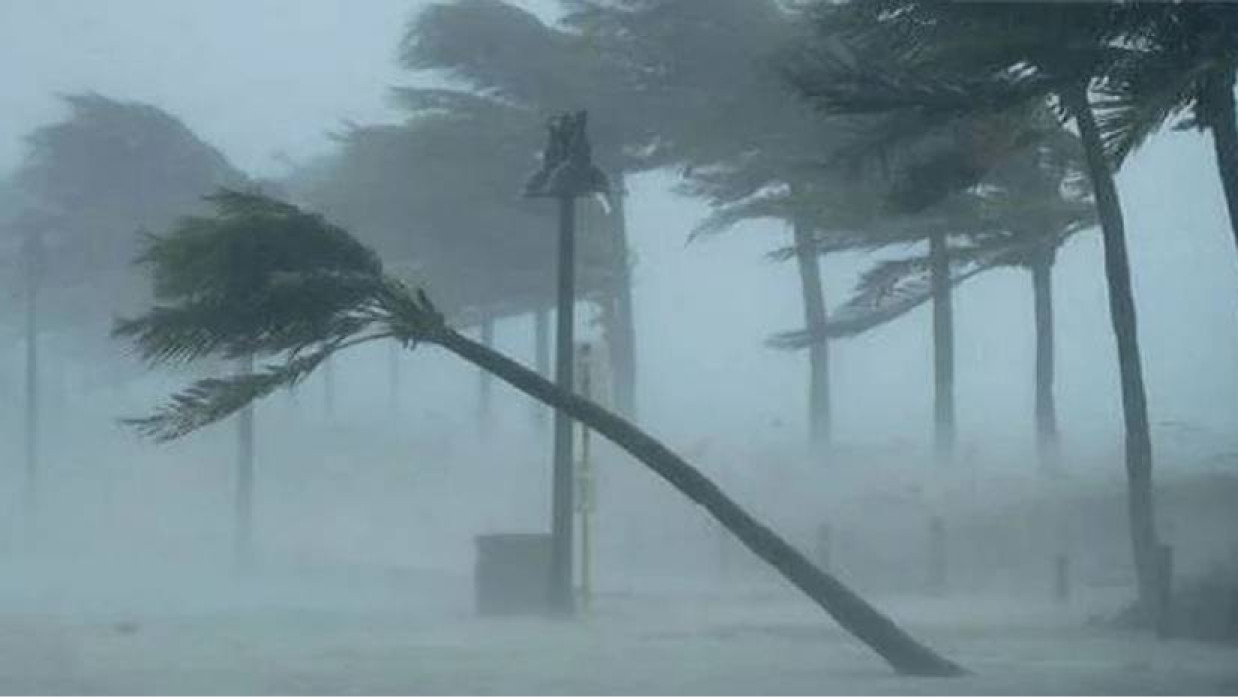 ঝোড়ো বৃষ্টি