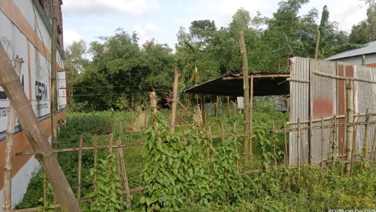 বিধবা নারীর জমি