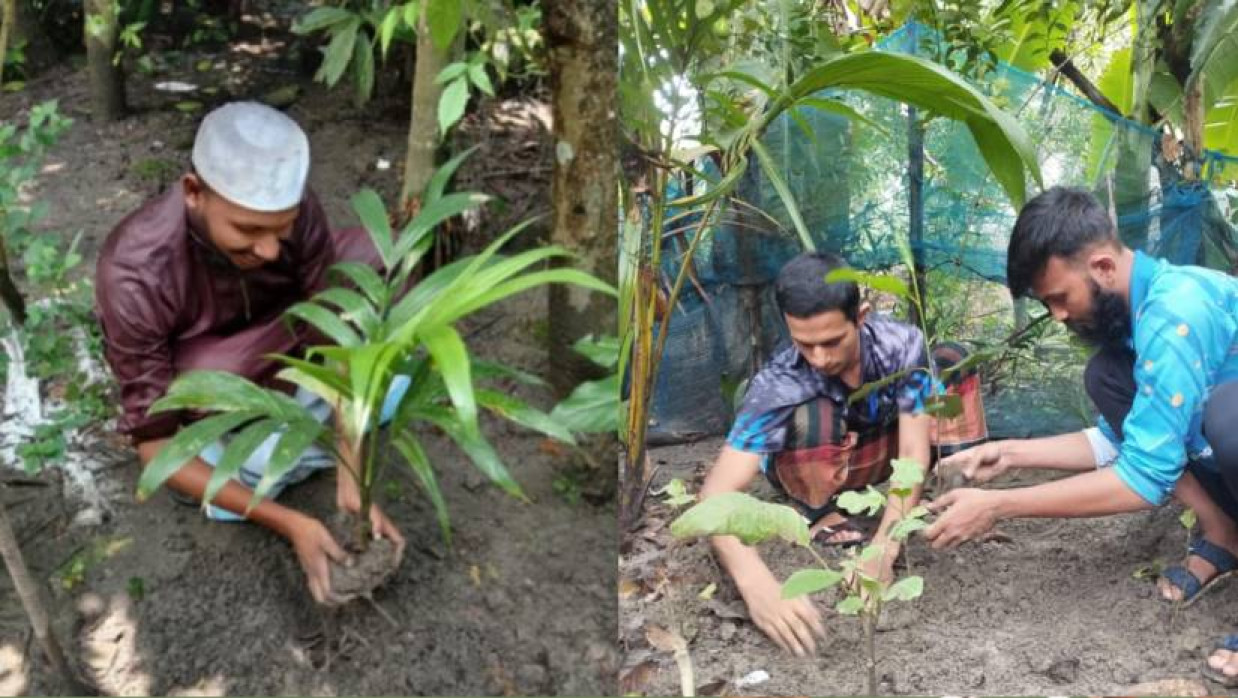 ১০০ গাছ লাগাবে ইবির ইসলামী ছাত্র আন্দোলন