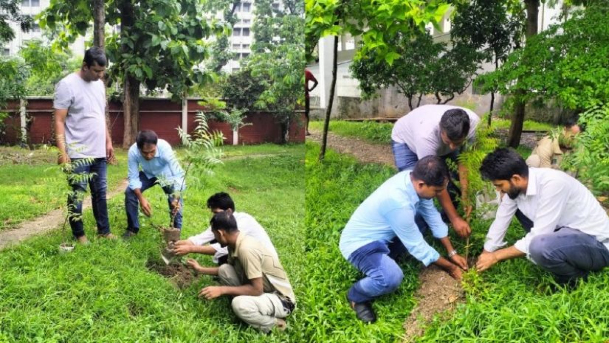ছাত্রদলের উদ্যোগে বৃক্ষরোপণ কর্মসূচি